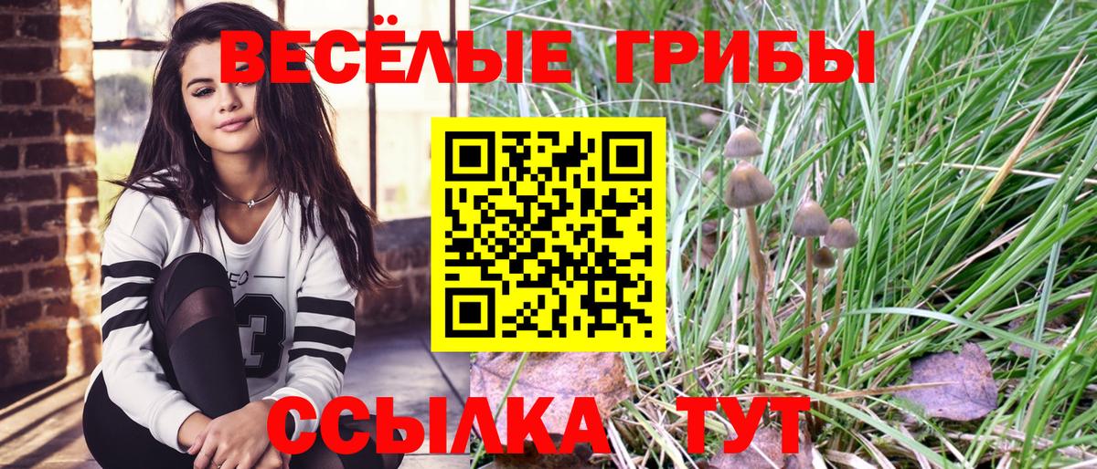 Галлюциногенные грибы прущие грибы Саянск